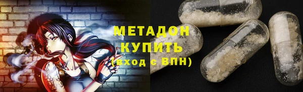 прущие грибы Балахна