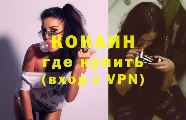 прущие грибы Балахна