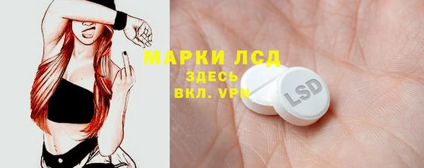 прущие грибы Балахна