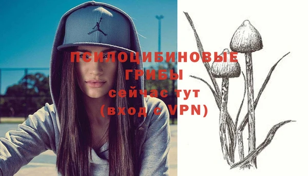 соль курить ск Балабаново