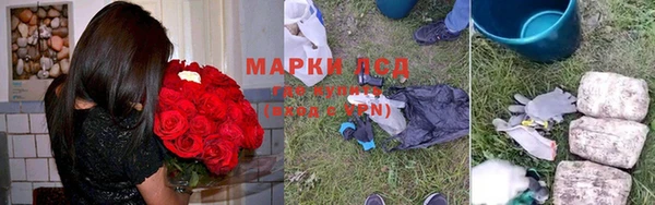 прущие грибы Балахна