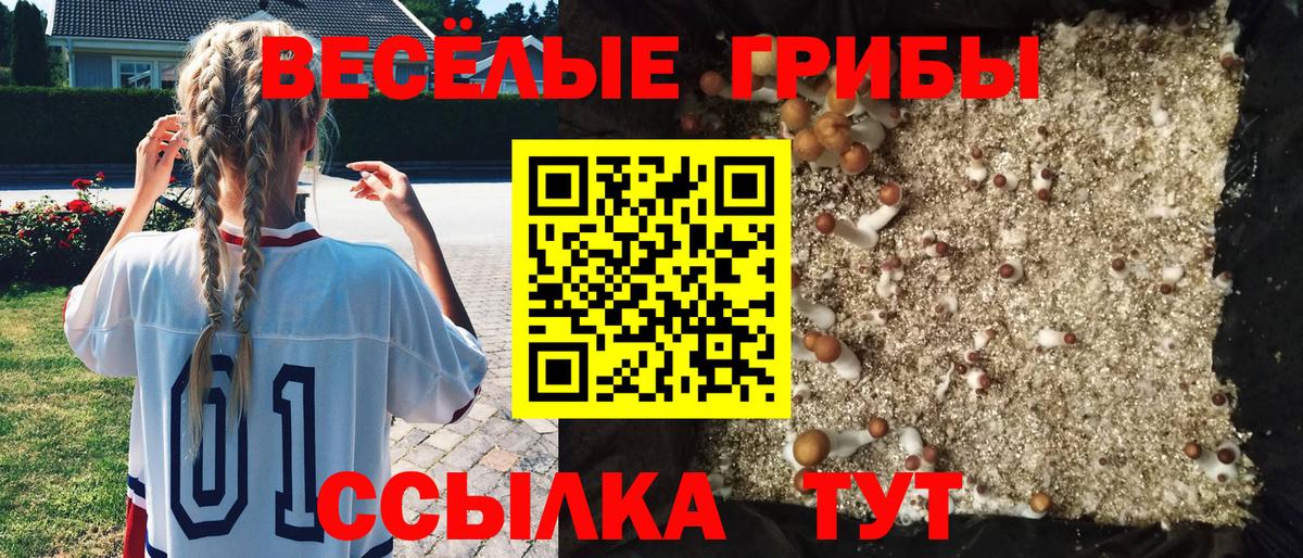 Псилоцибиновые грибы мицелий  Вход с VPN  Псилоцибиновые грибы MAGIC MUSHROOMS  Луховицы 