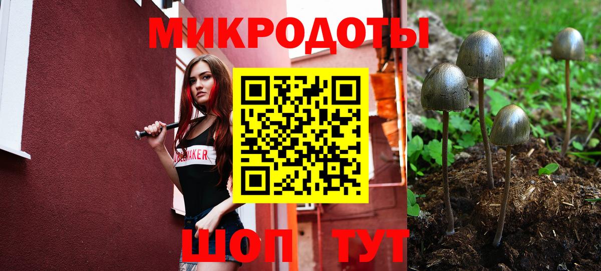 Галлюциногенные грибы Magic Shrooms Луховицы