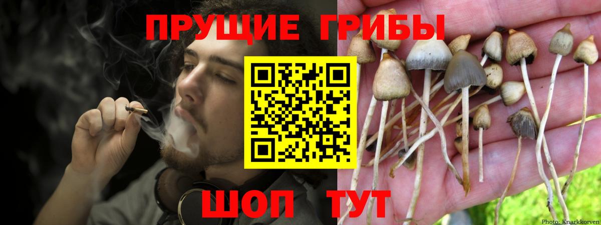 Псилоцибиновые грибы прущие грибы  Луховицы 