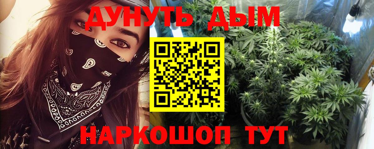 Каннабис планчик Луховицы